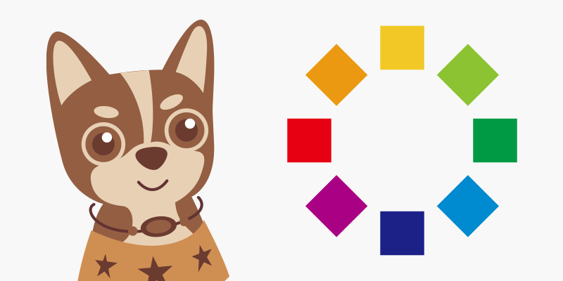 動物病院の診察券を考える:カラーリング