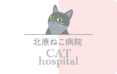 猫のイラストが可愛いスタイリッシュな猫専門病院の診察券