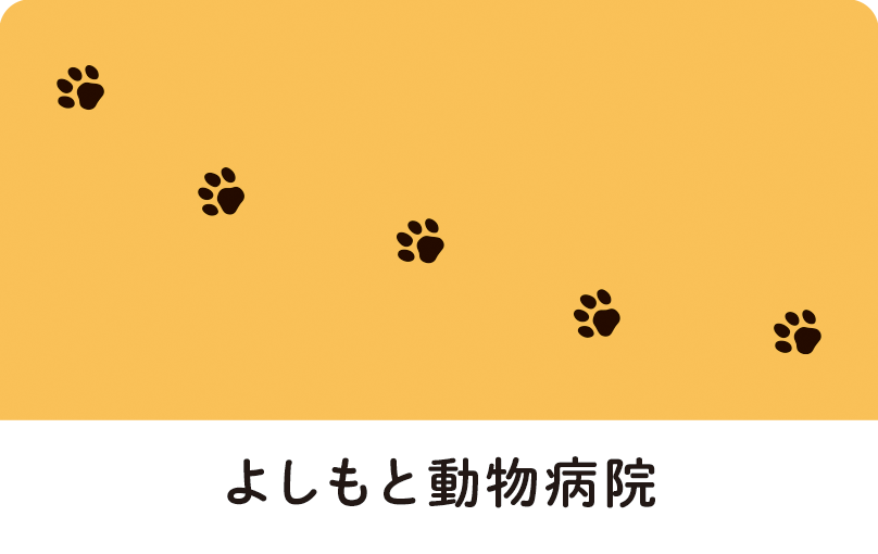 診察券のデザイン：動物の足跡