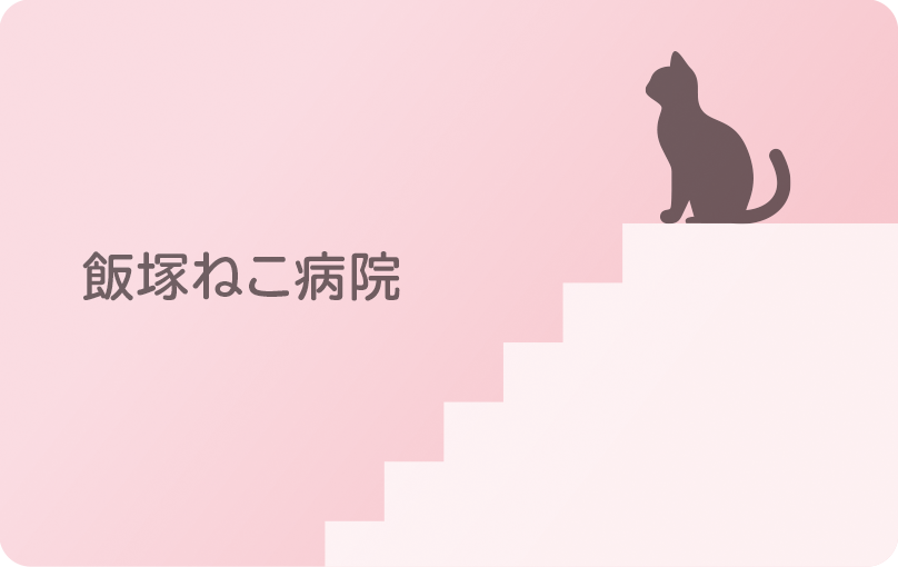 診察券のデザイン：階段に座った猫