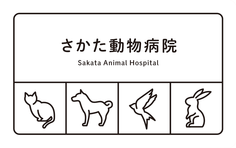 診察券のデザイン：犬猫うさぎ鳥のシンプルなデザイン