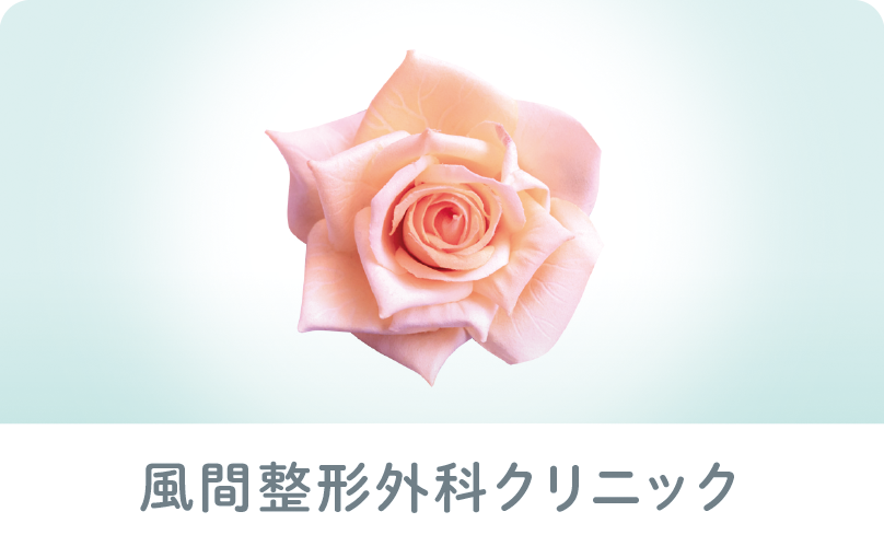 診察券のデザイン：薔薇の写真