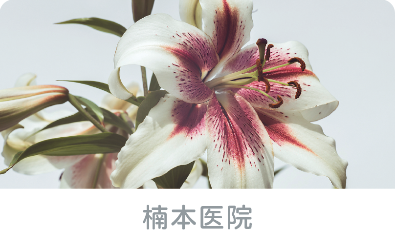診察券のデザイン：花の写真01