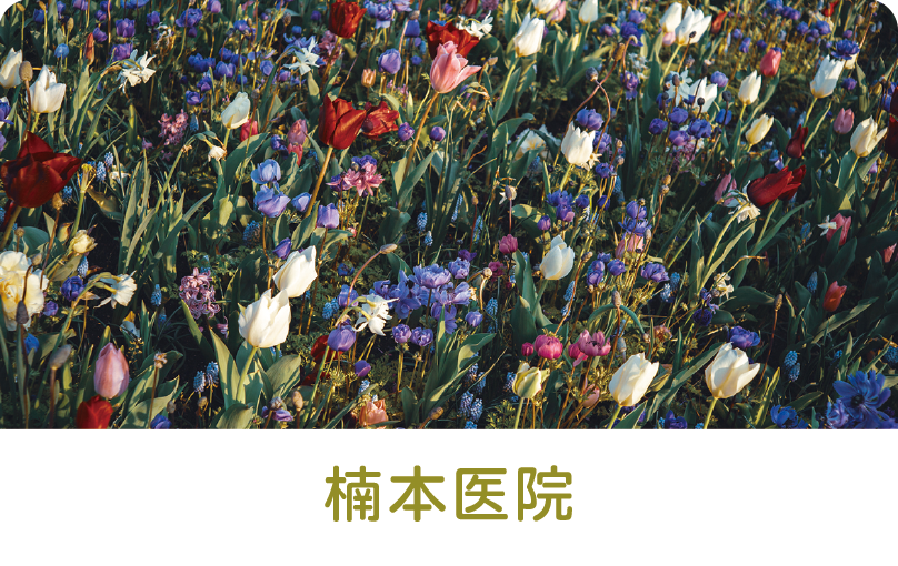 診察券のデザイン：花と植物の写真